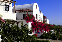 ilias 583