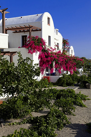 ilias 584
