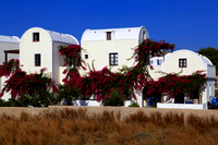 ilias 582
