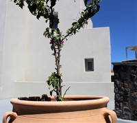 gallery (18)