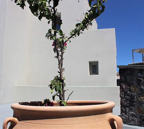 gallery (18)