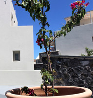 gallery (19)