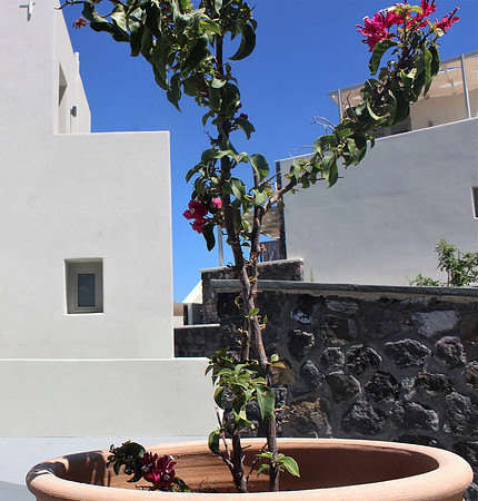gallery (19)