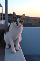 IMG_0159 (2)